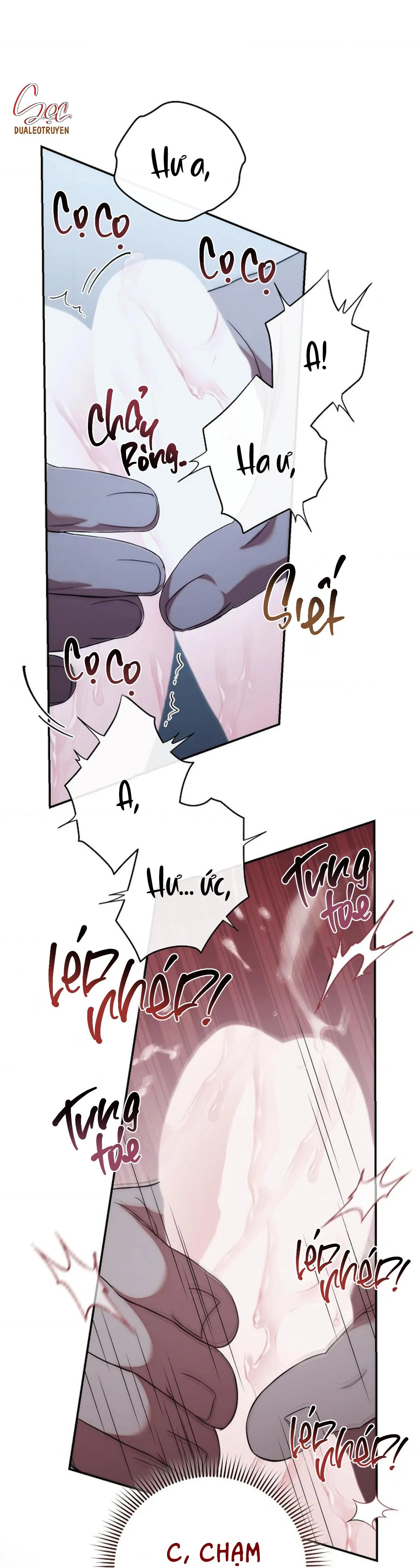 (ABO) MỐI QUAN HỆ KHÔNG HOÀN CHỈNH Chapter 32 Trang 20