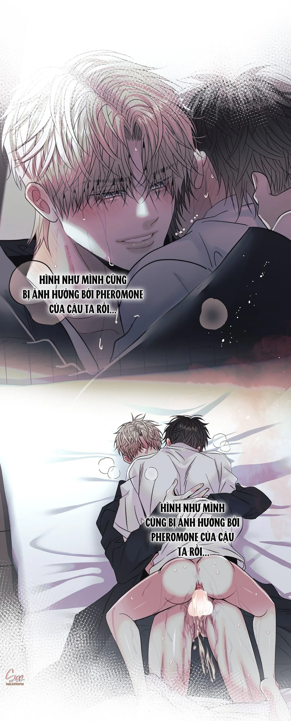 (ABO) Quo Vadis, Domine? Chapter 16 Trang 8