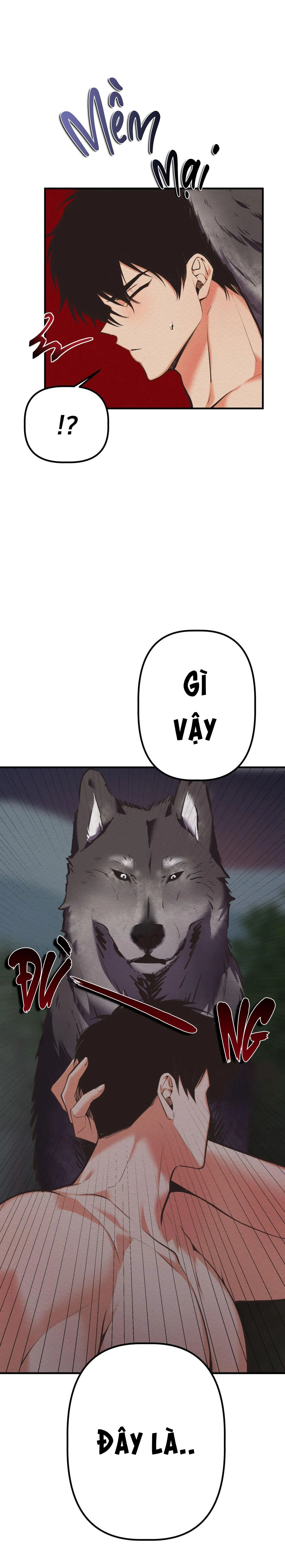 ÁC MA ĐỈNH CẤP Chapter 35 Trang 6