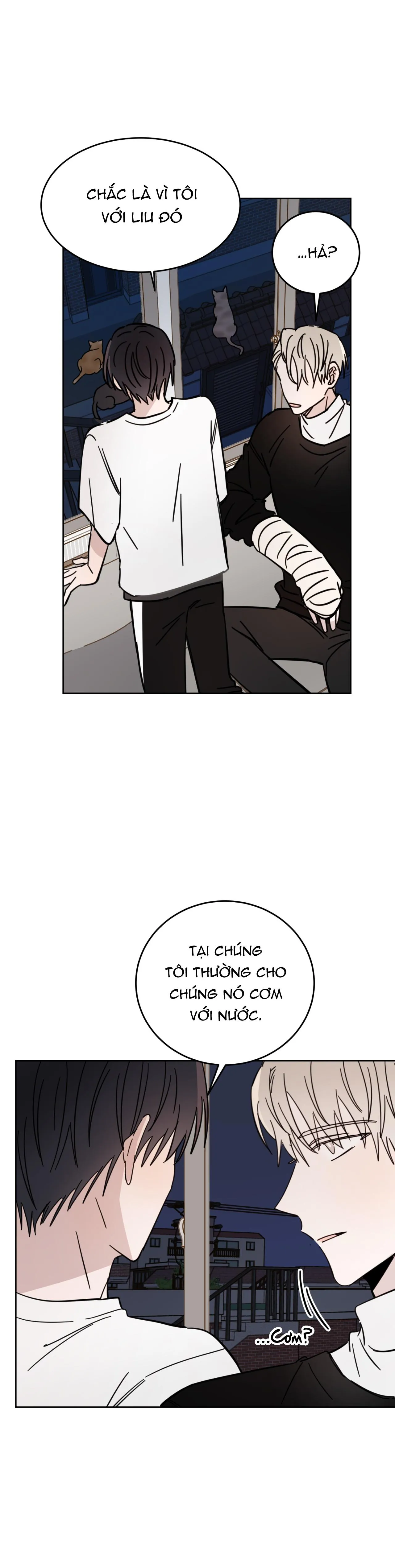 Ác ma giữa ngã tư đường Chapter 10 Trang 12