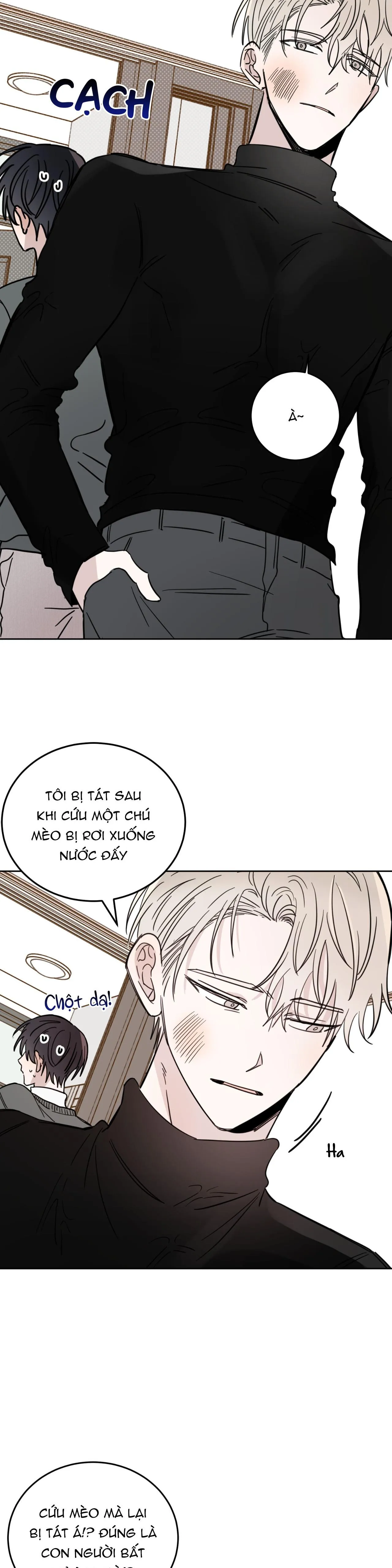 Ác ma giữa ngã tư đường Chapter 21 Trang 11