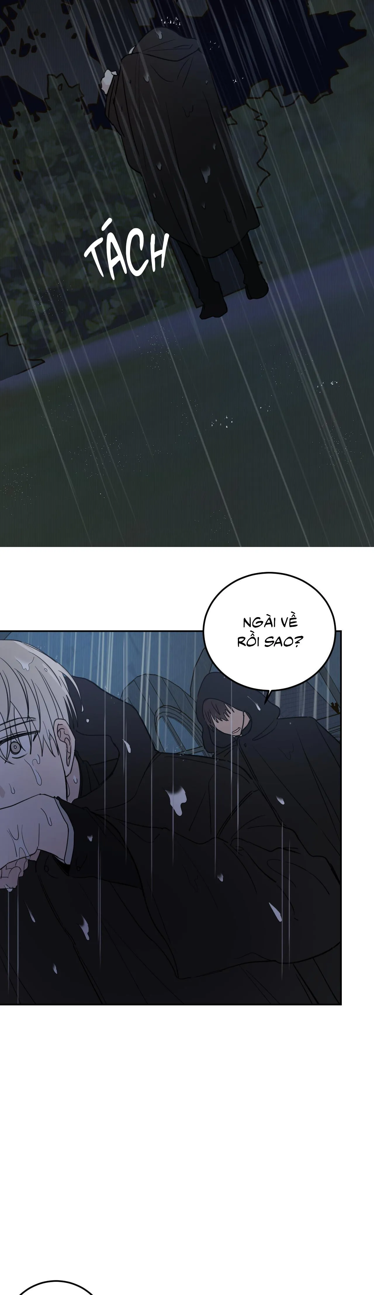 Ác ma giữa ngã tư đường Chapter 60 Trang 12