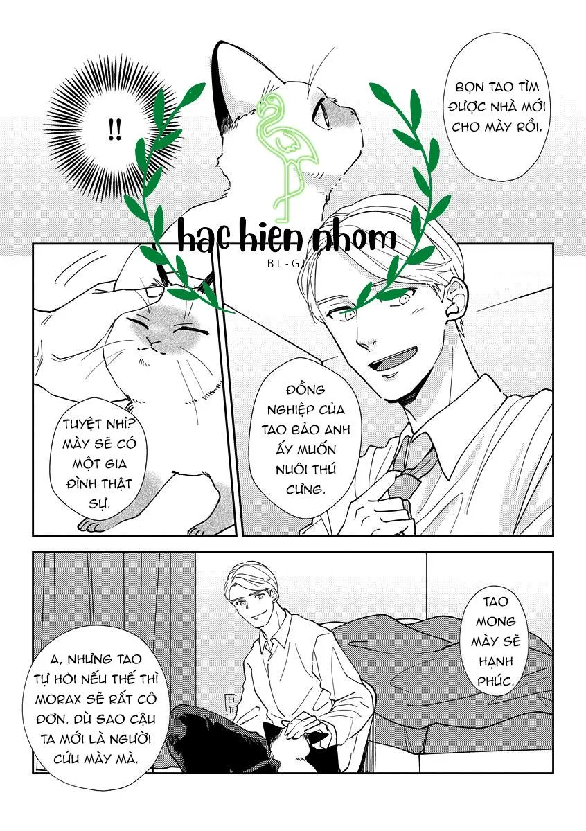 Ác quỷ trong giấc mơ của cậu Chapter 2 Trang 14