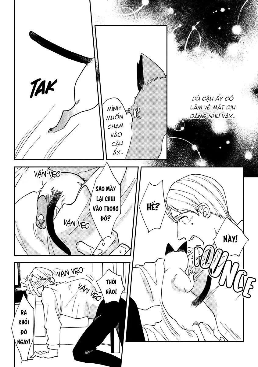 Ác quỷ trong giấc mơ của cậu Chapter 2 Trang 16