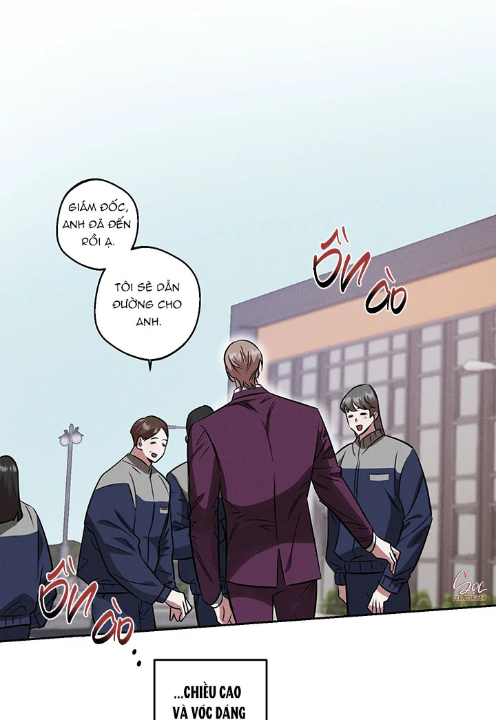 Accidental baby Chapter 10 Trang 65