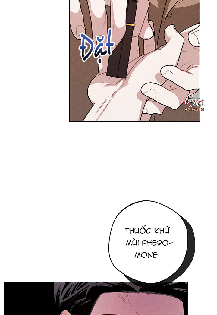 Accidental baby Chapter 9 Trang 41