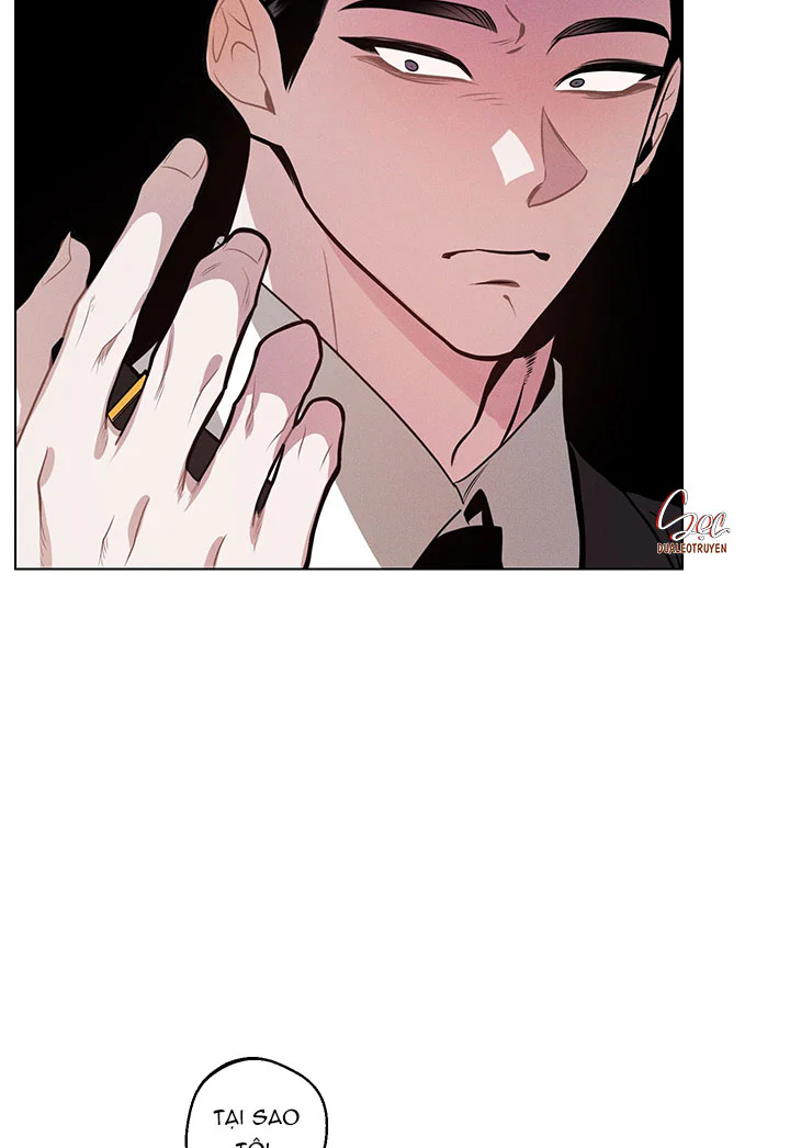 Accidental baby Chapter 9 Trang 42