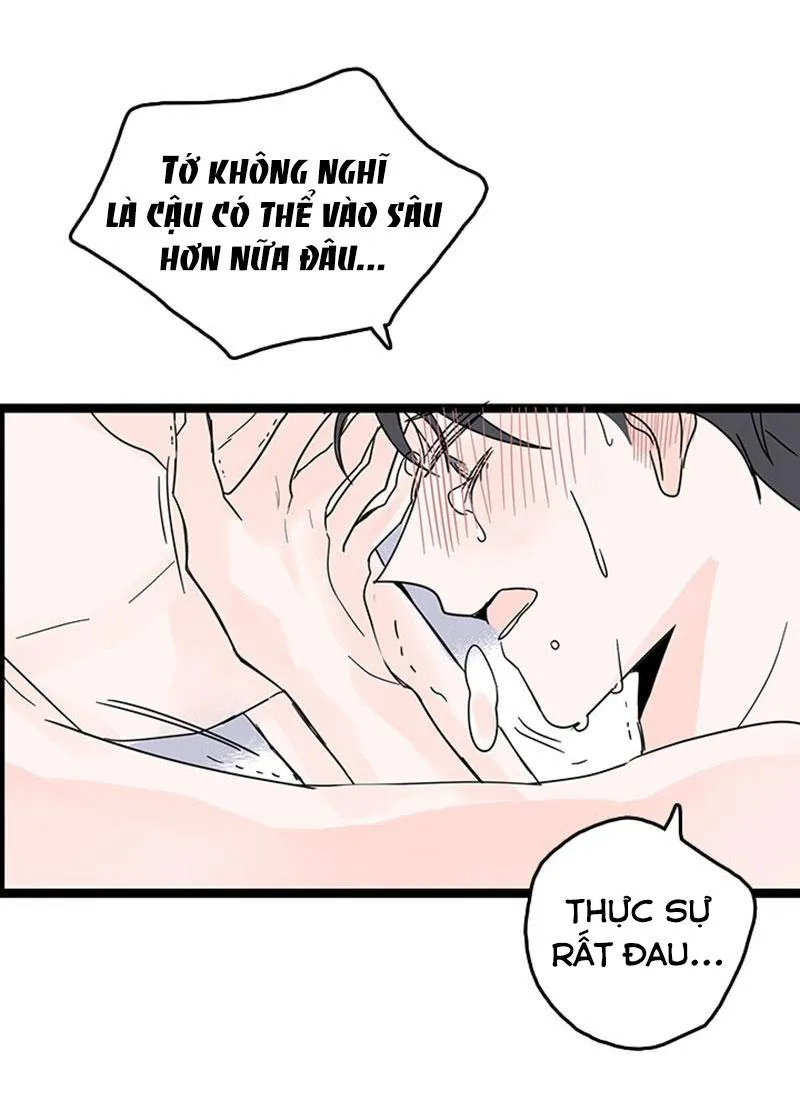 Chợt Yêu Cậu Ấy Chapter 5 Trang 13