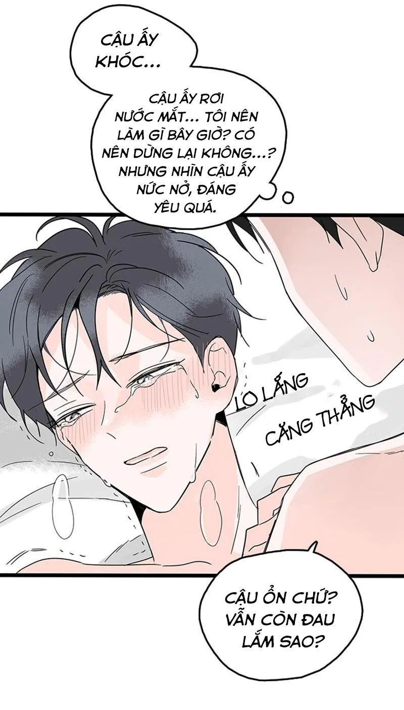 Chợt Yêu Cậu Ấy Chapter 5 Trang 14