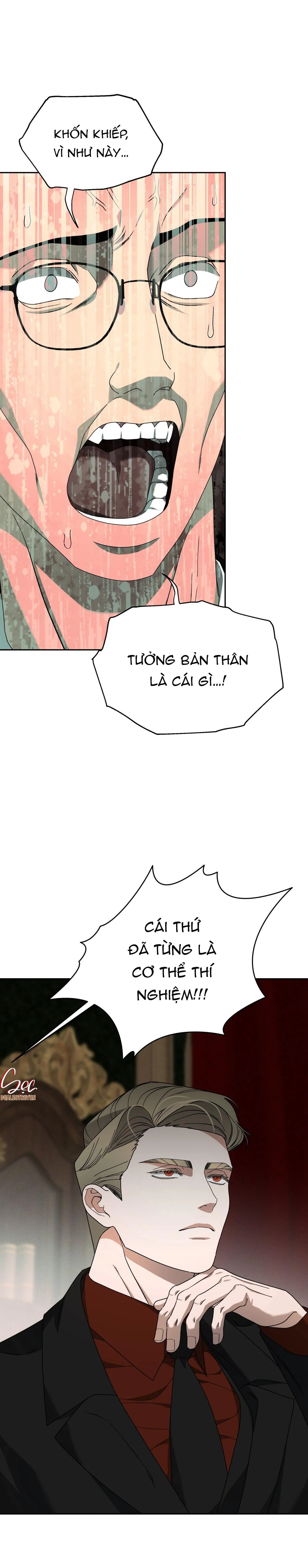 AGATHOS REPORT Chapter 11 Trang 8