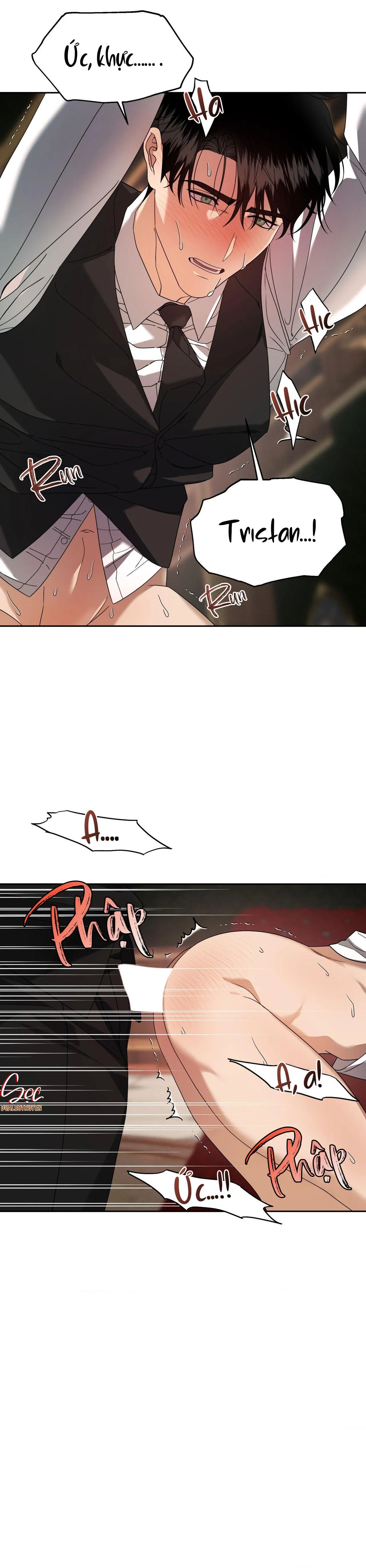 AGATHOS REPORT Chapter 13 Trang 12