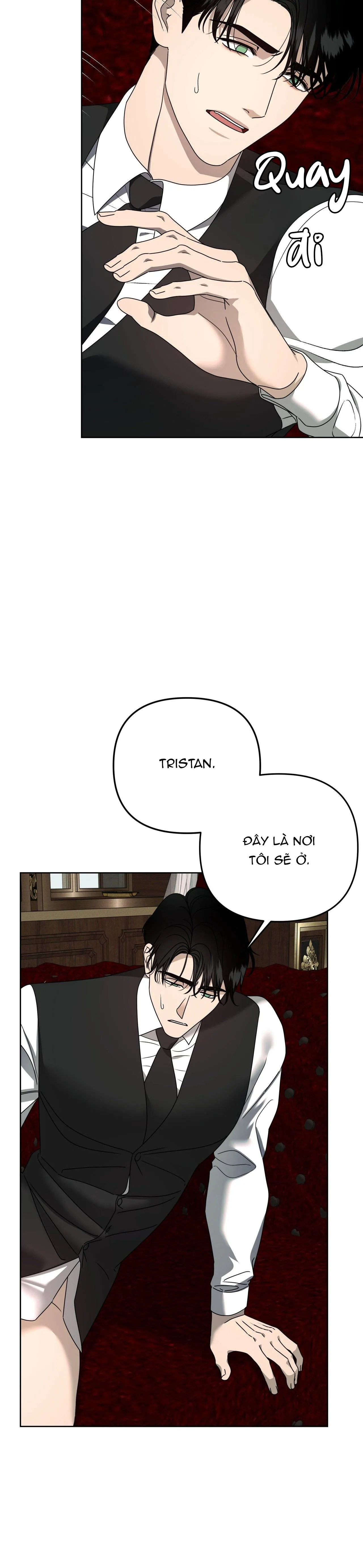 AGATHOS REPORT Chapter 15 Trang 8