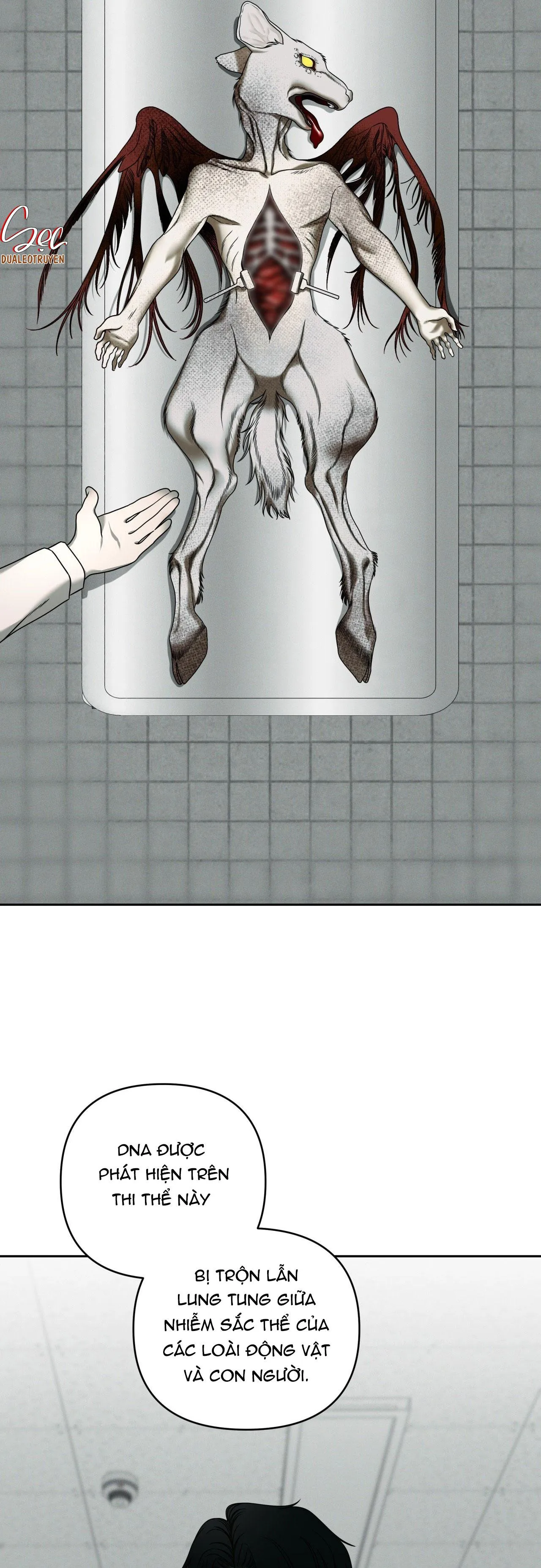 AGATHOS REPORT Chapter 3 Trang 7