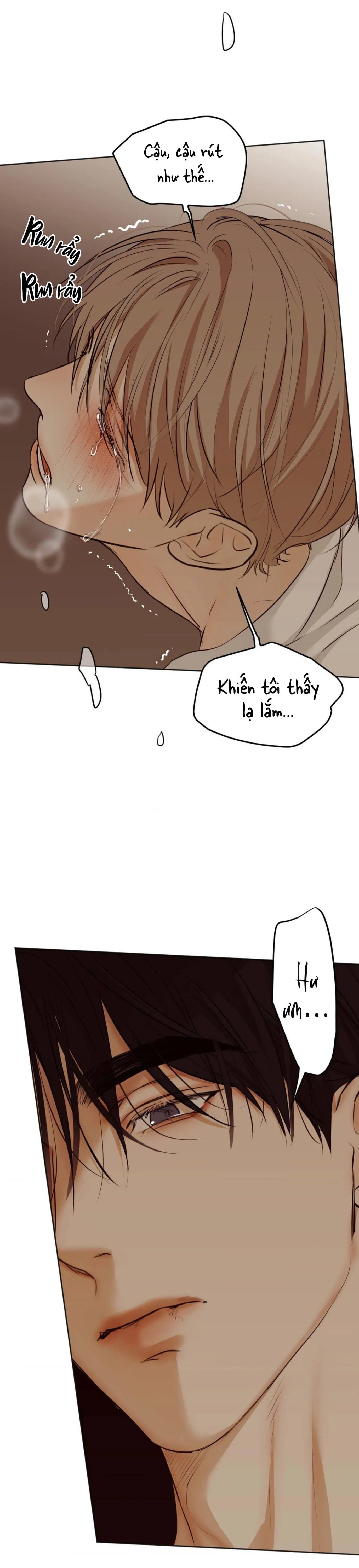 ÁI DỤC Chapter 11 Trang 5