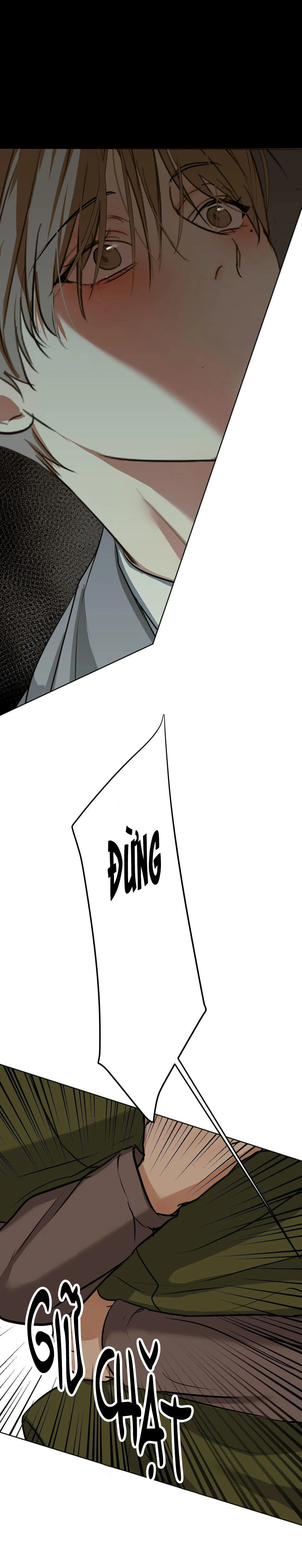 ÁI DỤC Chapter 13 Trang 11