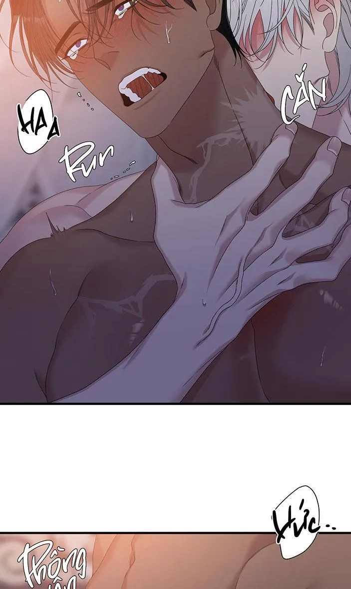 ÁI TÌNH TỰ TÂM Chapter 51 Trang 69