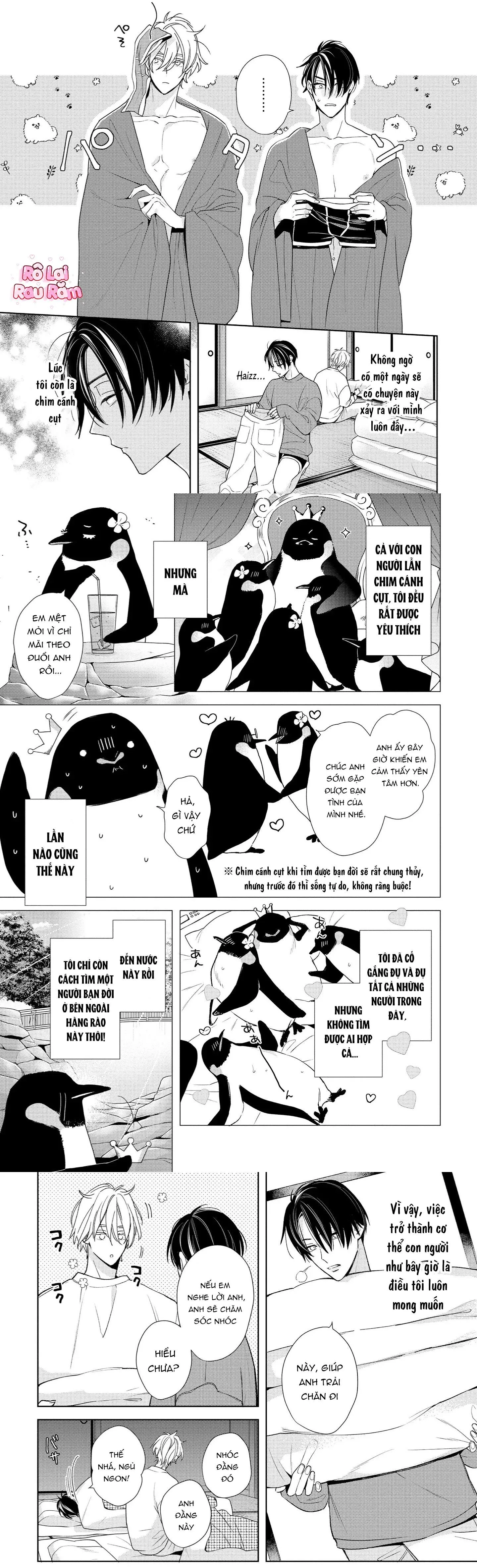 Ái tình từ vì sao sa Chapter 1 Trang 8