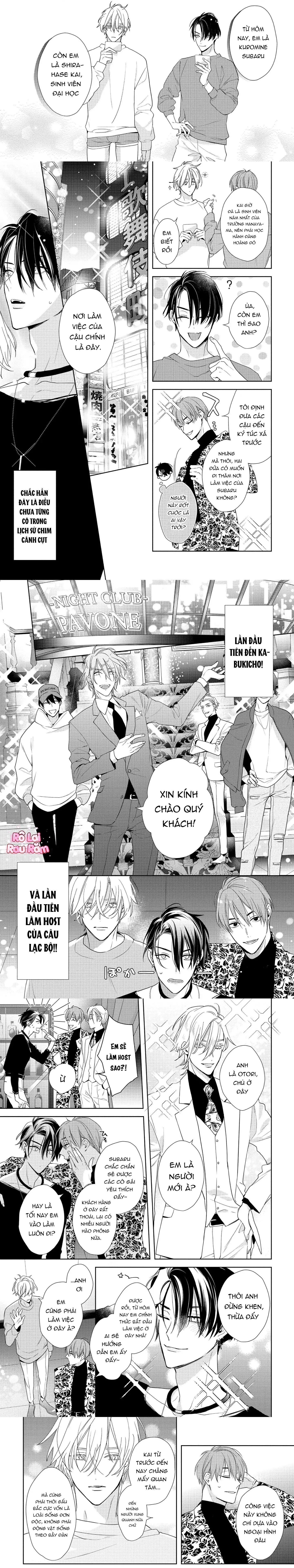 Ái tình từ vì sao sa Chapter 1 Trang 12