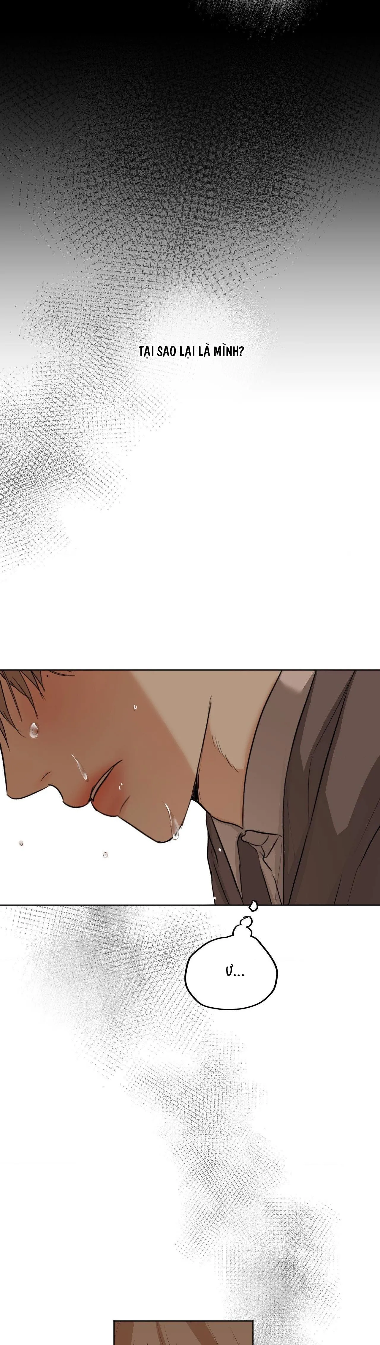 ÁI TÌNH VÀ DỤC VỌNG Chapter 13 Trang 8