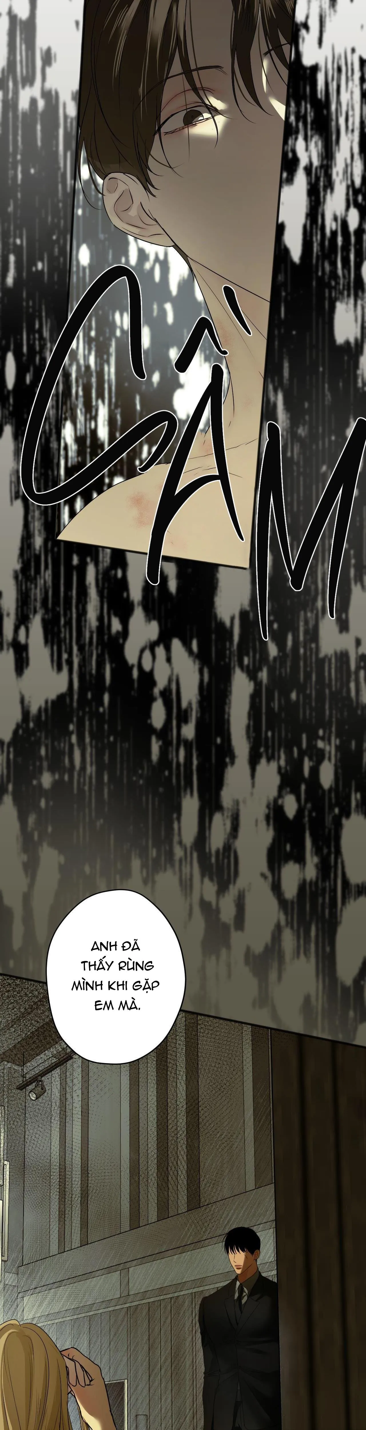 ÁI TÌNH VÀ DỤC VỌNG Chapter 19 Trang 13