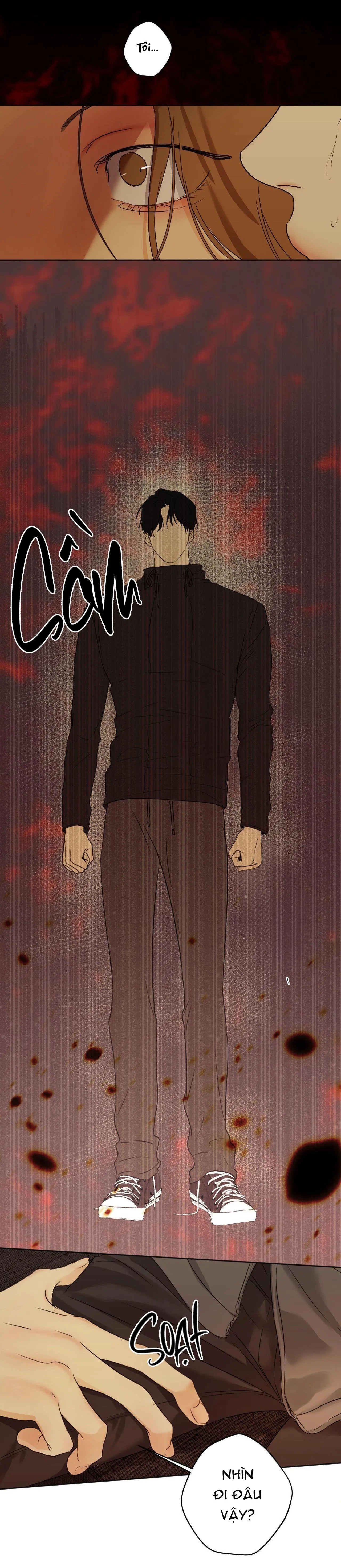 ÁI TÌNH VÀ DỤC VỌNG Chapter 33 Trang 19