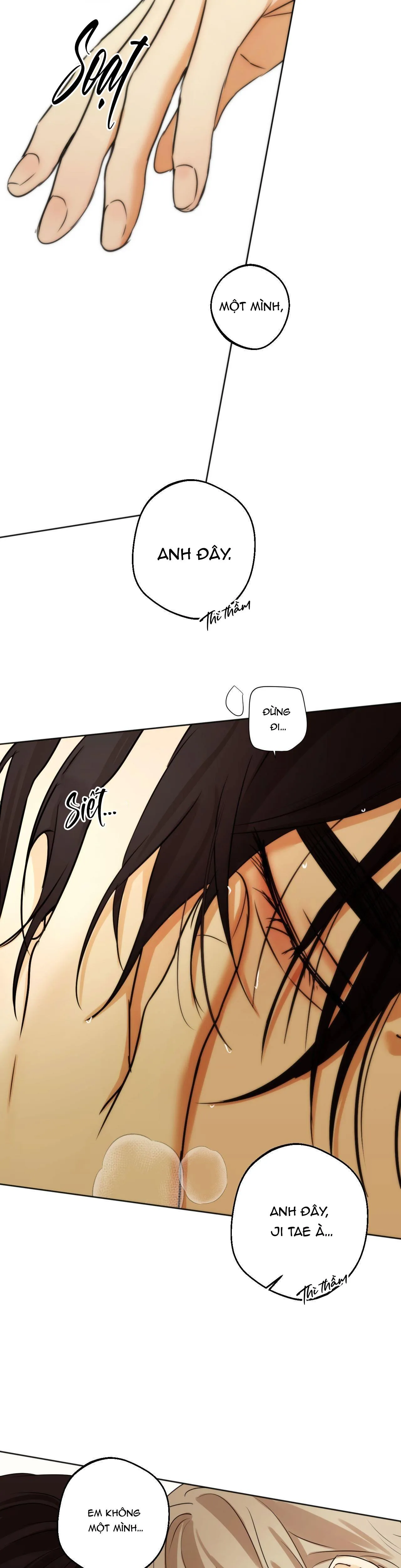 ÁI TÌNH VÀ DỤC VỌNG Chapter 38 Trang 11