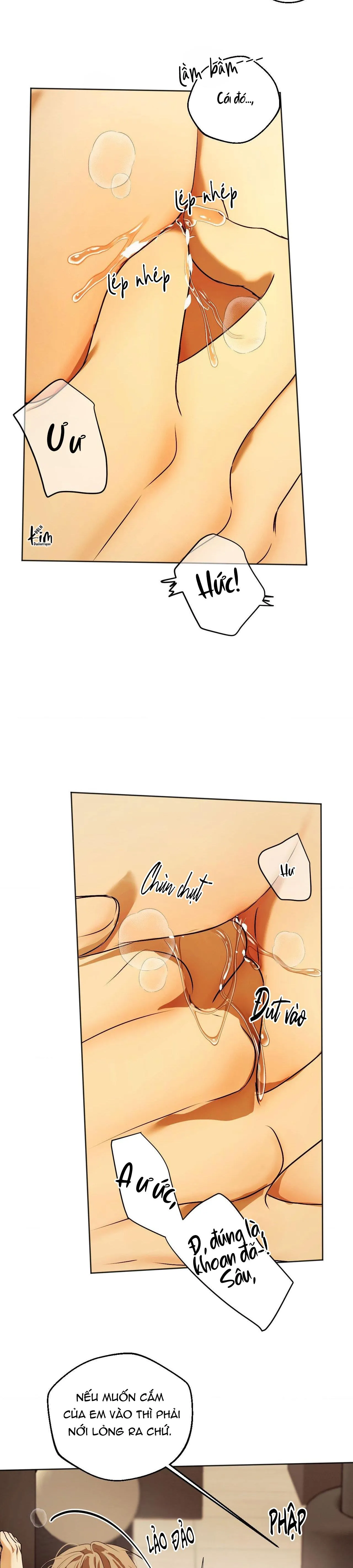 ÁI TÌNH VÀ DỤC VỌNG Chapter 40 Trang 26