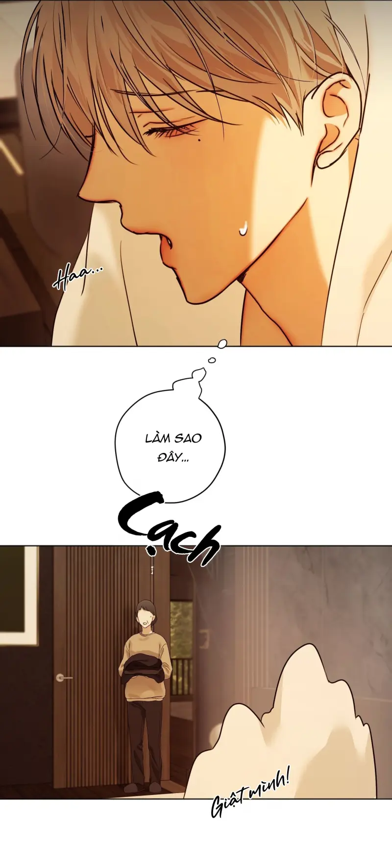 ÁI TÌNH VÀ DỤC VỌNG Chapter 64 Trang 13