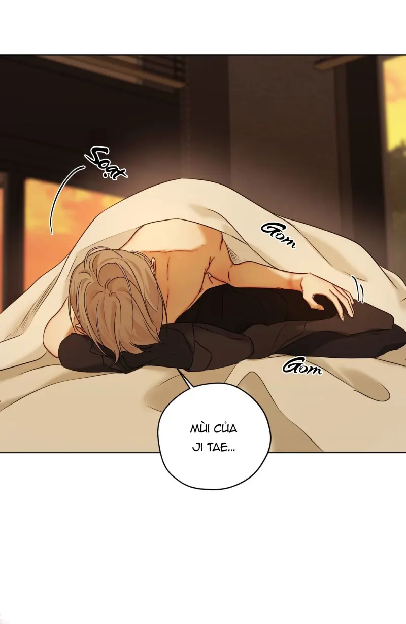 ÁI TÌNH VÀ DỤC VỌNG Chapter 64 Trang 19