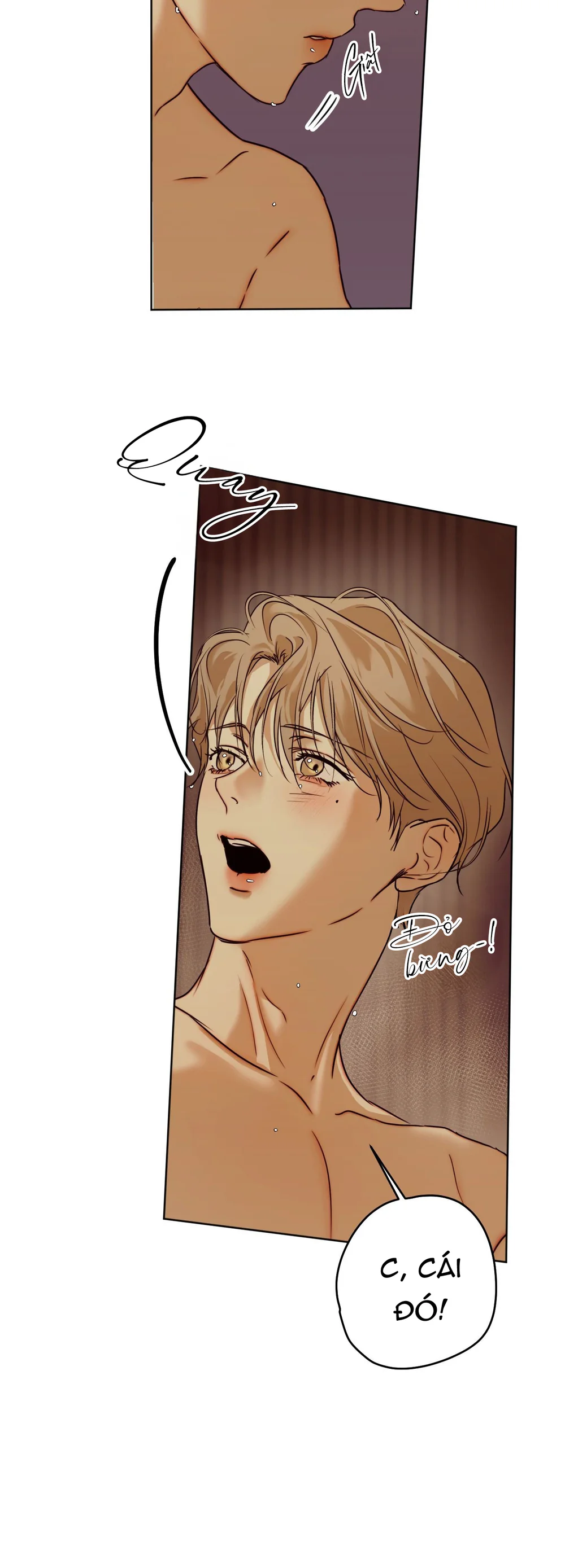 ÁI TÌNH VÀ DỤC VỌNG Chapter 72 Trang 24