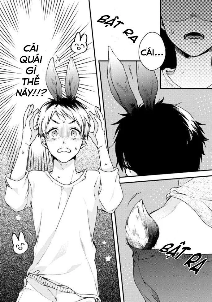 Aitai Jou to Usagi no Yamai Chapter 1 Trang 35