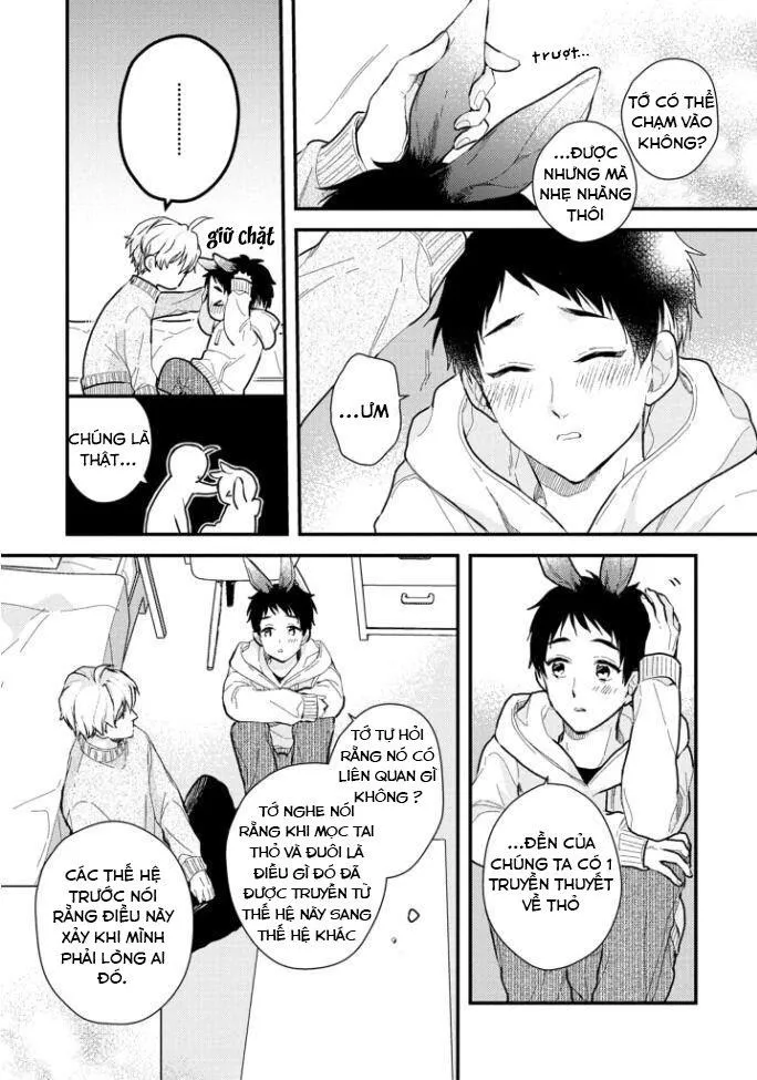 Aitai Jou to Usagi no Yamai Chapter 2 Trang 22