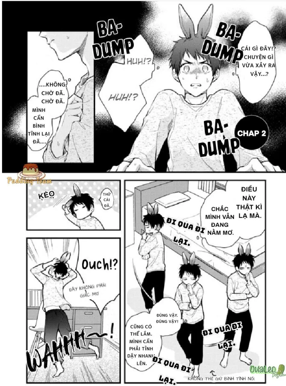 Aitai Jou to Usagi no Yamai Chapter 2 Trang 3