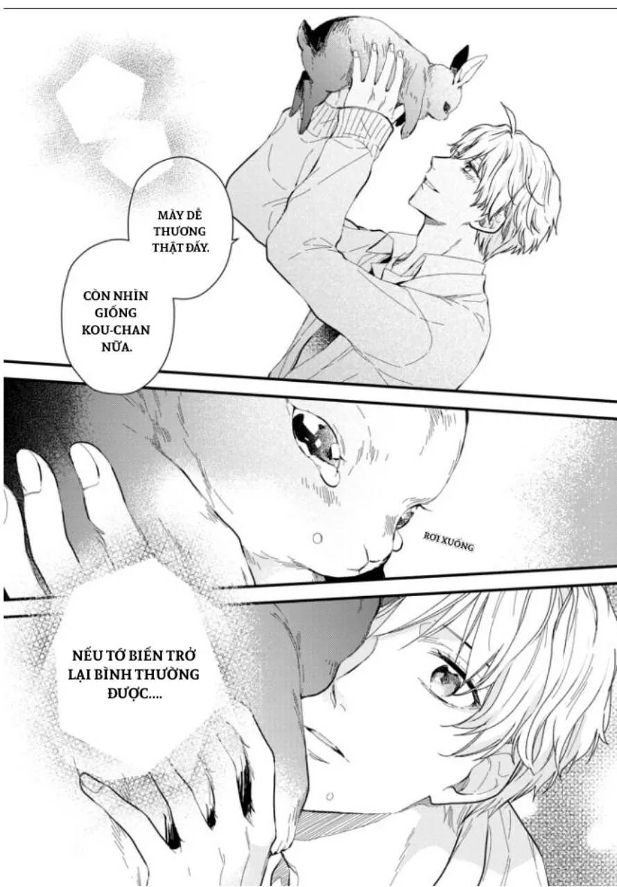 Aitai Jou to Usagi no Yamai Chapter 3 Trang 21