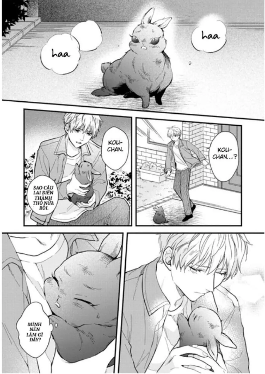 Aitai Jou to Usagi no Yamai Chapter 4 Trang 29