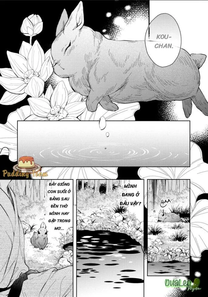 Aitai Jou to Usagi no Yamai Chapter 5 Trang 9