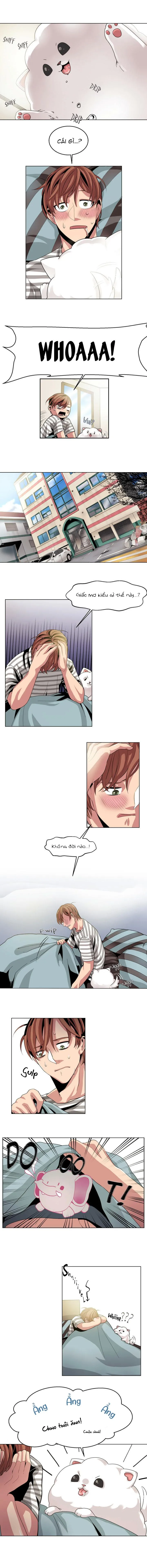 All for 9900 Won Chapter 6 Trang 5