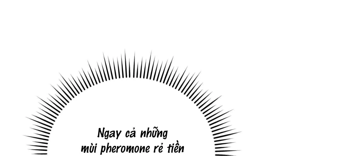 Alpha Mặt Hàng Không Thể Trả Chapter 2 Trang 25