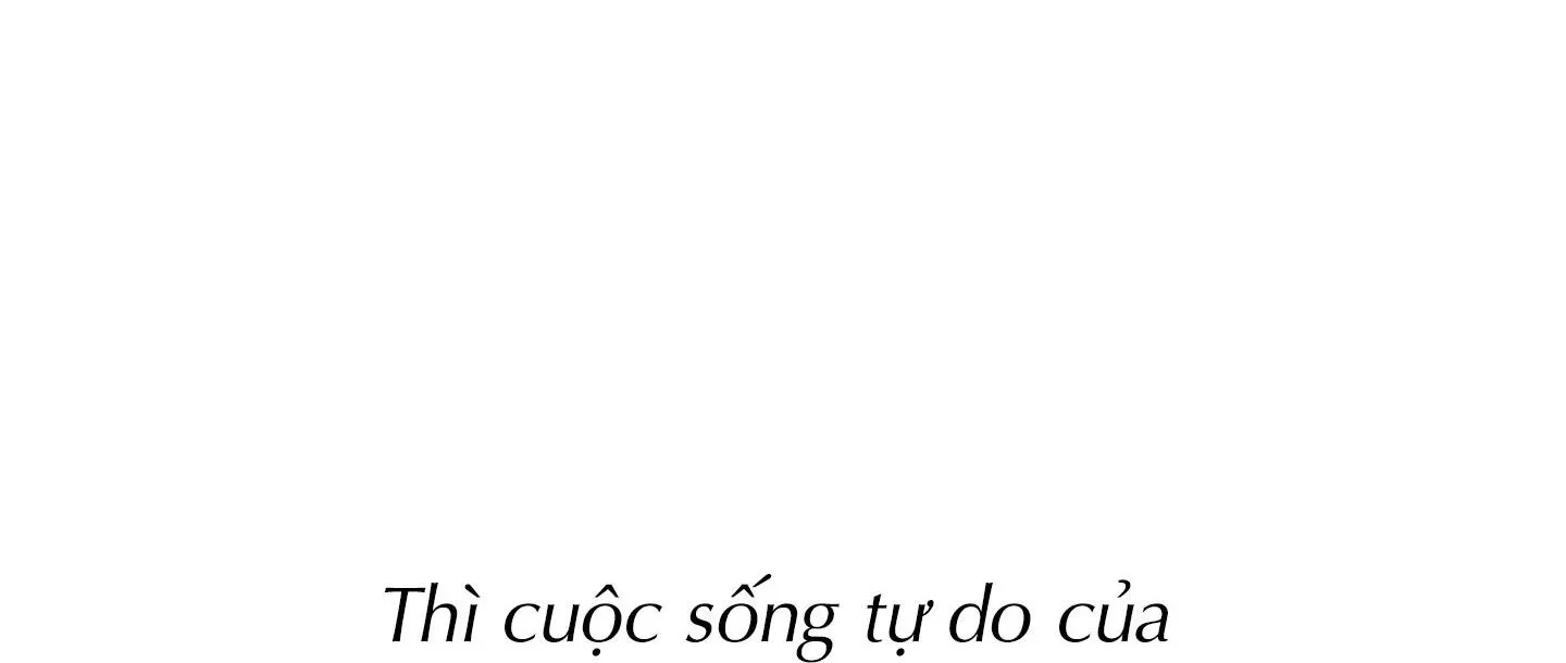 Alpha Mặt Hàng Không Thể Trả Chapter 4 Trang 37