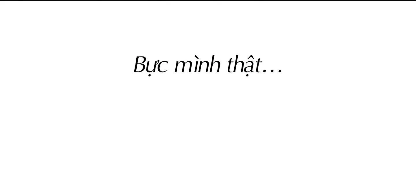 Alpha Mặt Hàng Không Thể Trả Chapter 7 Trang 134