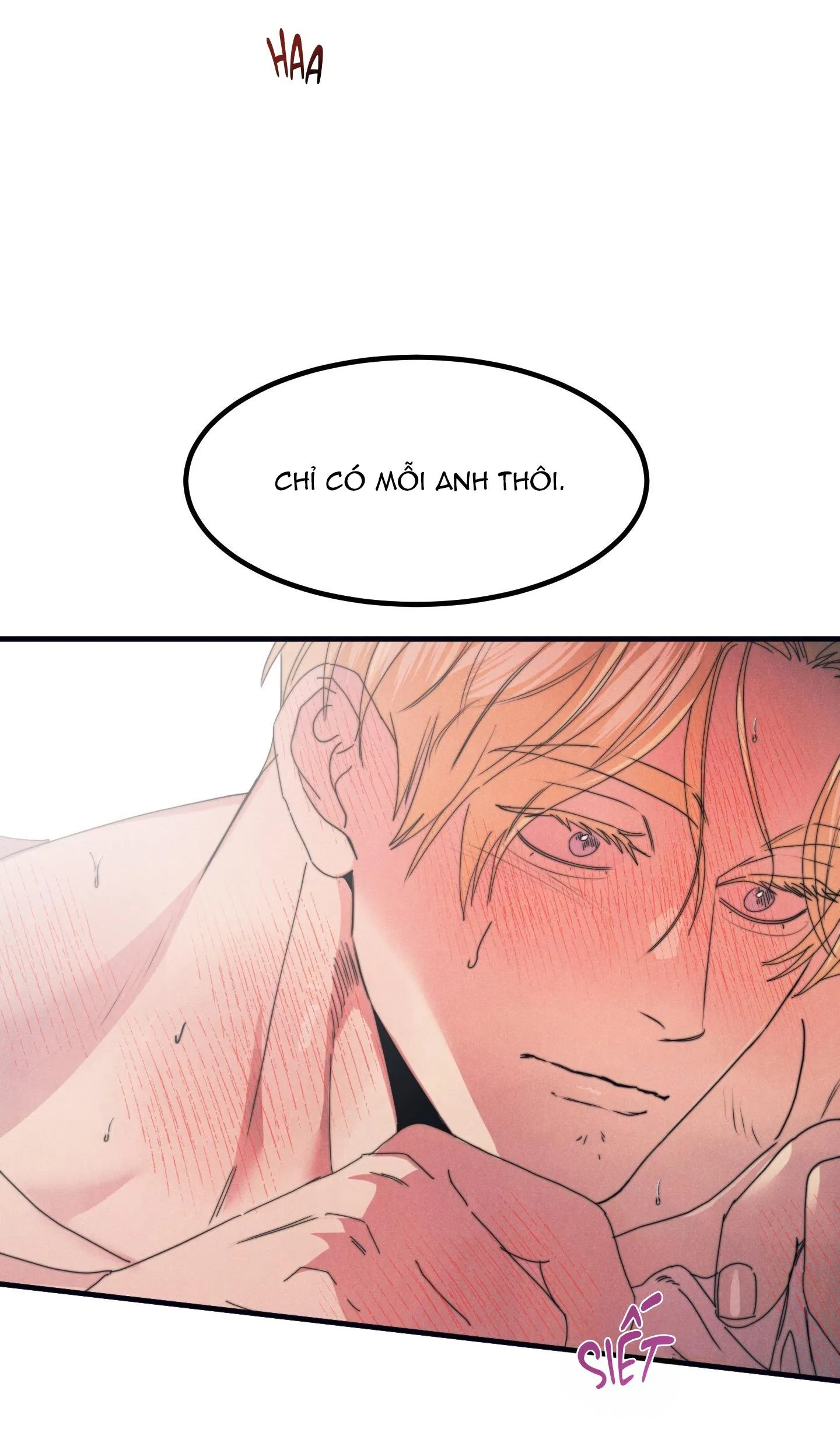 ALPHA MẤT TƯ CÁCH Chapter 21 Trang 27