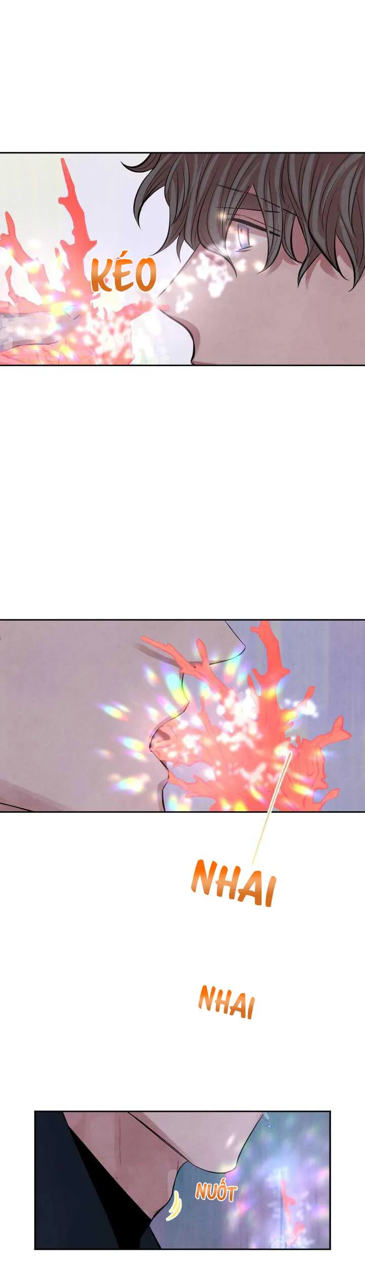 Âm Thanh Của San Hô Chapter 1 Trang 24