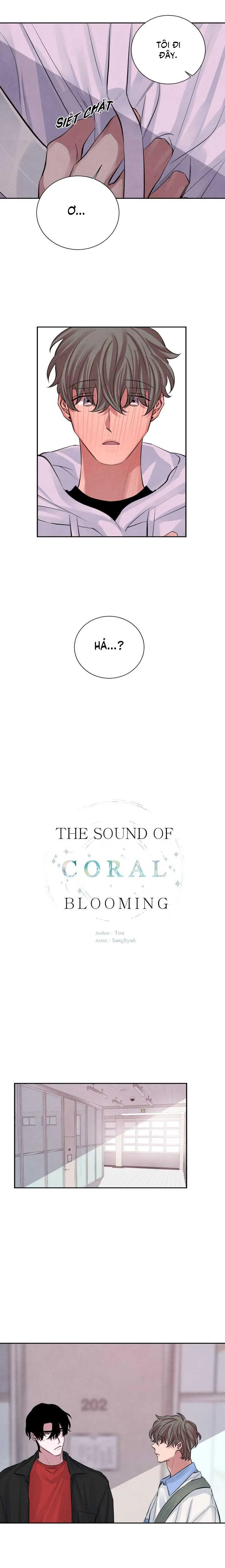 Âm Thanh Của San Hô Chapter 10 Trang 5