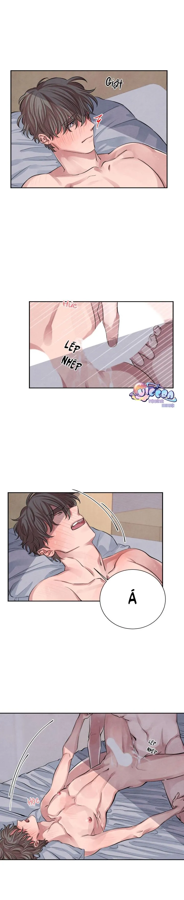 Âm Thanh Của San Hô Chapter 12 Trang 3