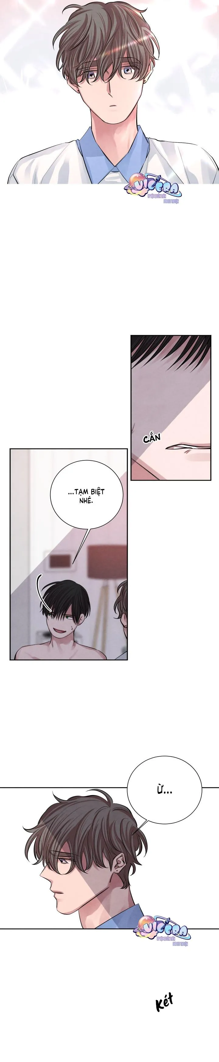 Âm Thanh Của San Hô Chapter 12 Trang 11