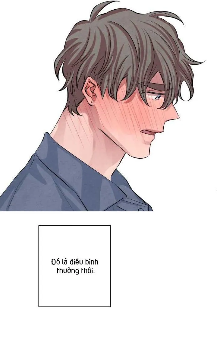 Âm Thanh Của San Hô Chapter 15 Trang 41