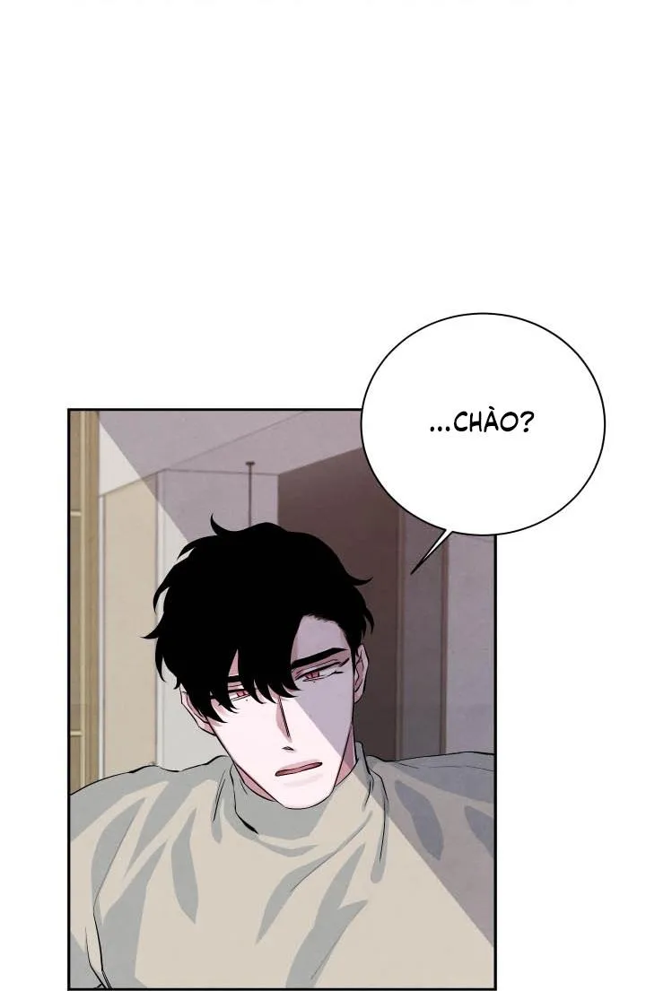 Âm Thanh Của San Hô Chapter 17 Trang 7