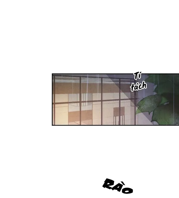 Âm Thanh Của San Hô Chapter 19 Trang 3