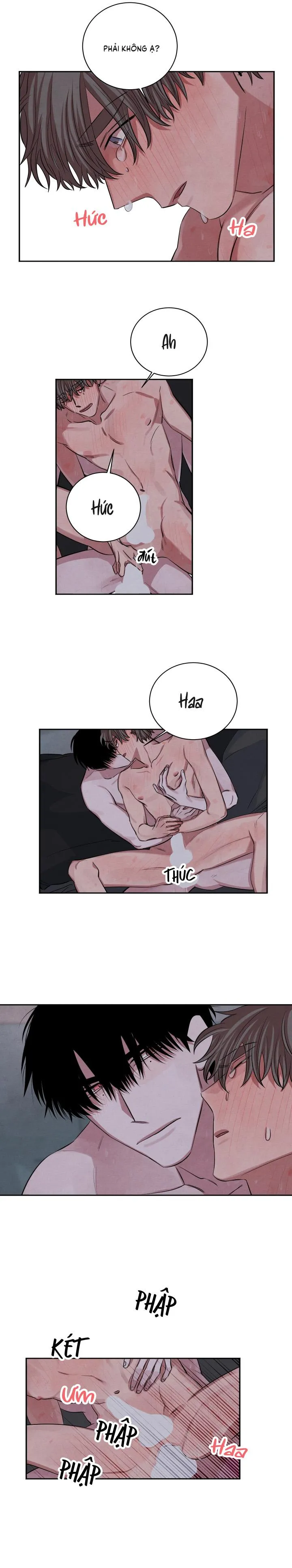 Âm Thanh Của San Hô Chapter 36 Trang 8