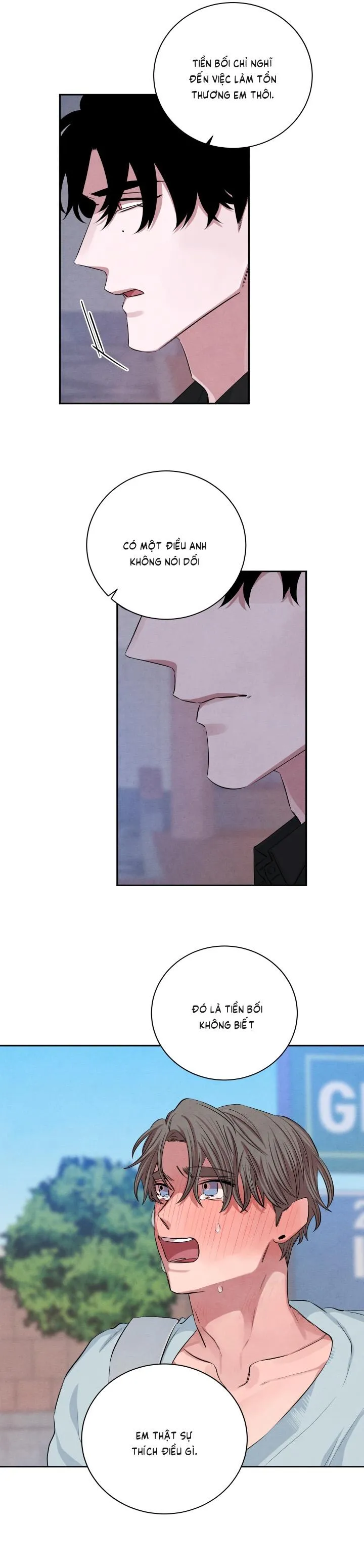 Âm Thanh Của San Hô Chapter 37 Trang 16